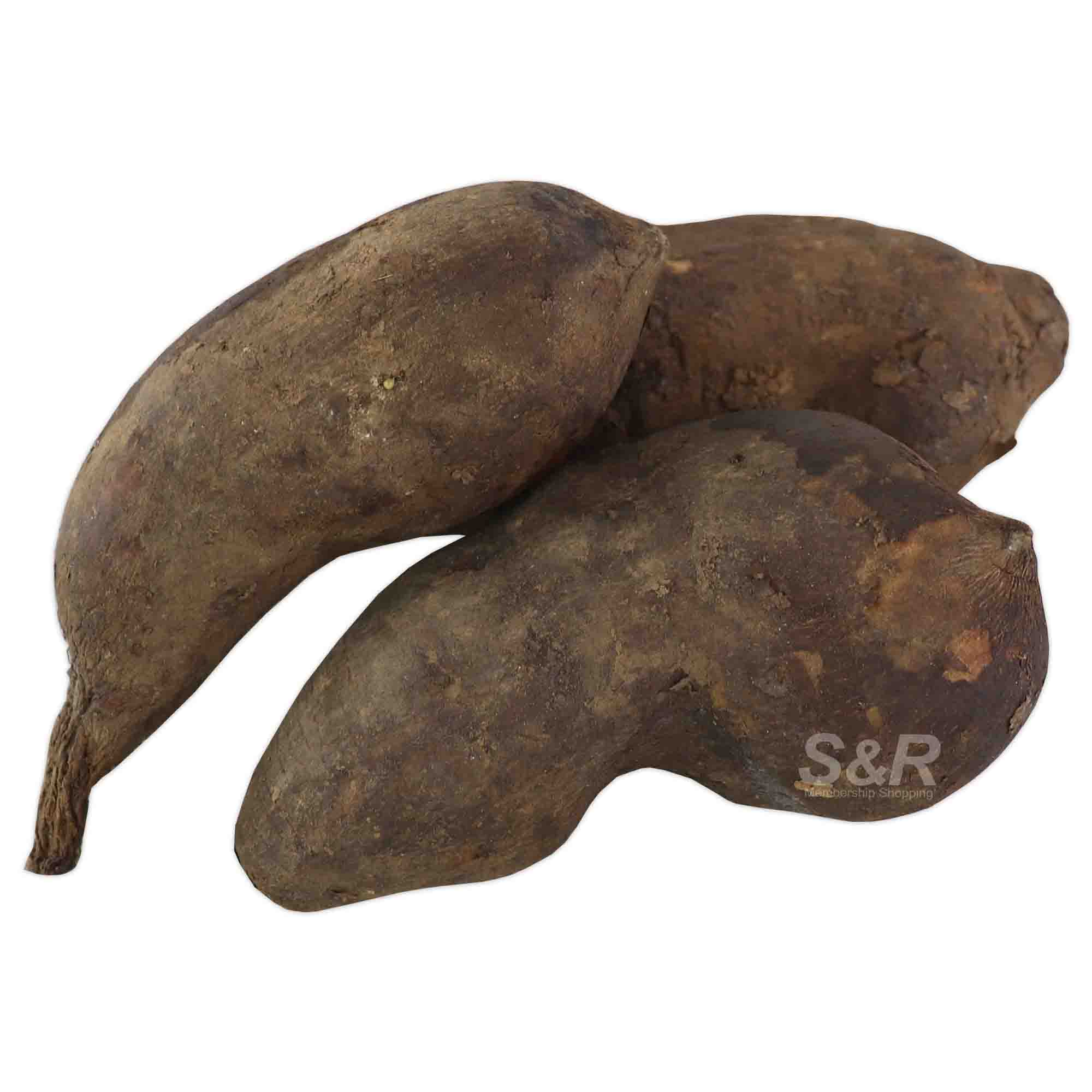 S&R Yacoon approx. 1kg